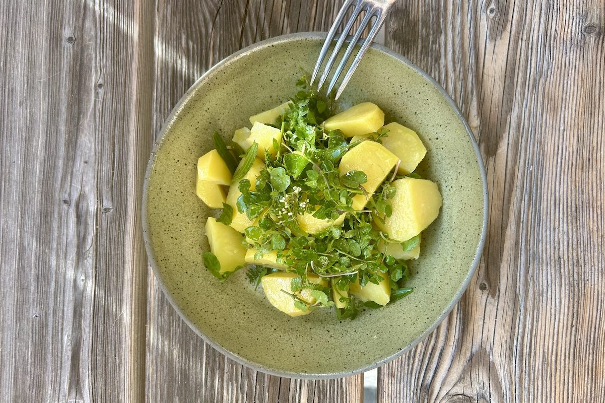 Eine Teller mit Kartoffelsalat und Wildkräutern